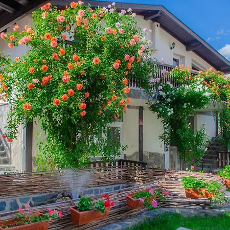 Guest House Via サパレヴァ・バニャ エクステリア 写真