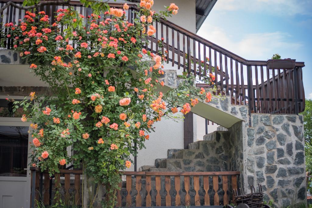 Guest House Via サパレヴァ・バニャ エクステリア 写真