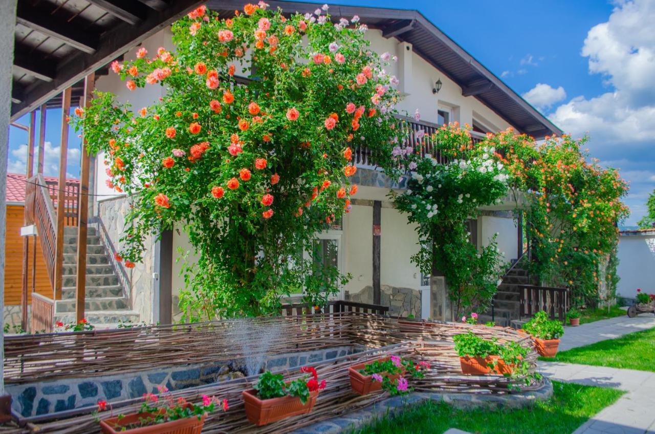 Guest House Via サパレヴァ・バニャ エクステリア 写真